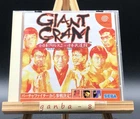 Giant Gram: All-Japan Wrestling 2 (Sega Dreamcast,1999) from japan