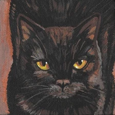 PRINT OF PAINTING RYTA HALLOWEEN black cat FOLK ART WITCH PET PORTRAIT Salem 8x8