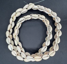 Cowrie Shell Necklace Buzio Brajá Omolu Osumare Aje Saluga Olokun Yoruba
