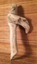 Beautiful 11" DRIFTWOOD Piece Terrarium Taxidermy Aquarium Beach Wood DECOR