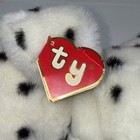 Foto 4 di 15