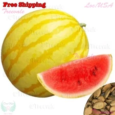 Gold Skin Watermelon -Yellow/Royal Golden Skin Watermelon Seeds |Vegetable Seeds