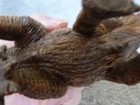 Bild 6 von 6