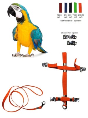 Elastic Harness Metal Detachable Buckles Adjustable Parrots Ara