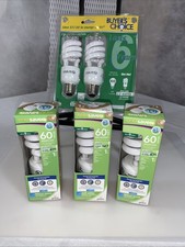Buyer's Choice Globe Light Bulb LOT 60W Equivalent CFL 13W 800 Soft White 5 CT