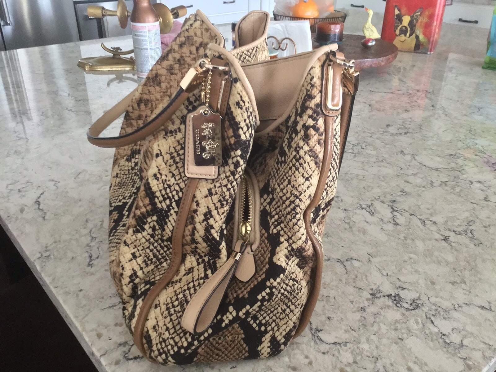 Coach Madison Phoebe Shoulder Bag – Python Snakes… - image 3
