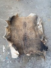 Wildschweinschwarte Wildschweinfell leder professionell gegerbt unikat