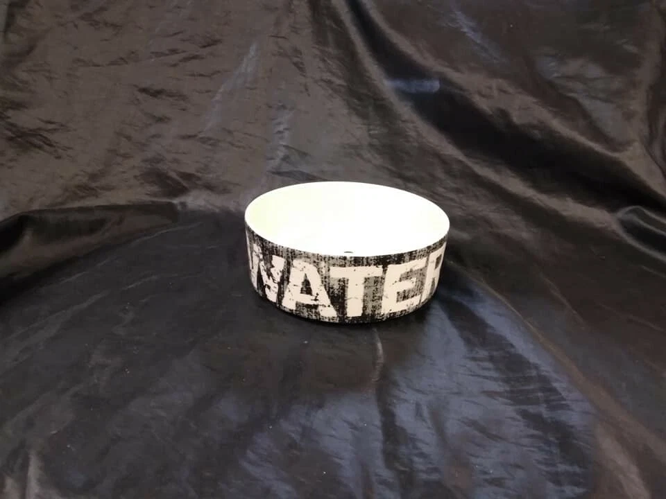 PetRageous Water Vintage Pet Dog or Cat Bowl ~ 5" Diameter x 1 1/2" Deep - Imagem 2 de 4