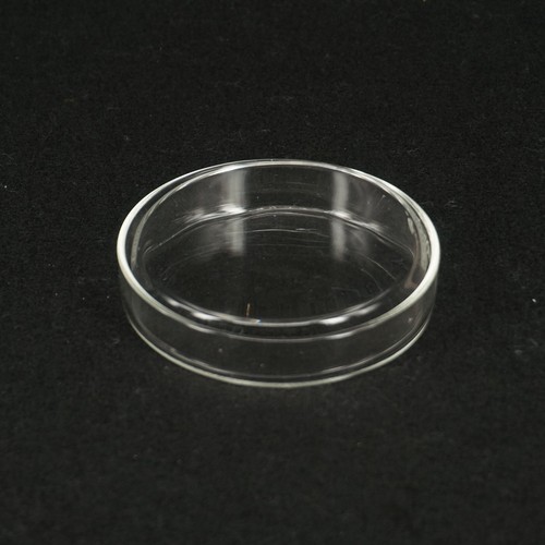 60-120 mm Borosilikatglas Petrischale Kulturschale mit Deckeln für Labor Bakterienhefe - Bild 20 von 26