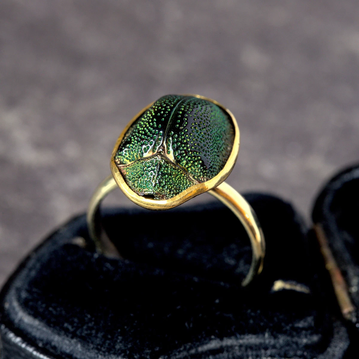 Egyptian beetle shop ring