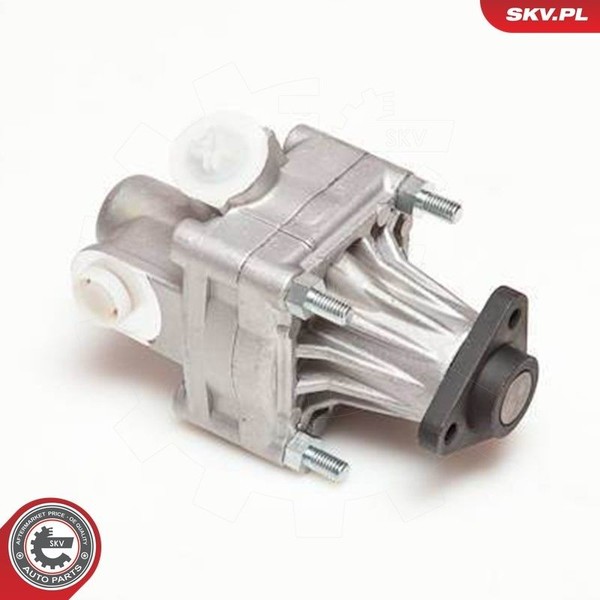 Esen Skv 10SKV005 Hydraulikpumpe, Lenkung FüR Audi Vw-image