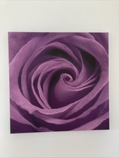 57x57cm Purple Rose Canvas Wall Art By Next