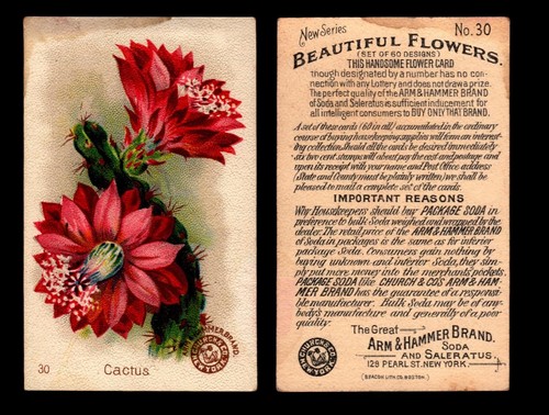 Beautiful Flowers New Series You Pick Singles Card #1-#60 Arm & Hammer 1888 J16 - 第 16/21 張圖片