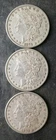 Lot of Three 1879 $1 Morgan Silver Dollars