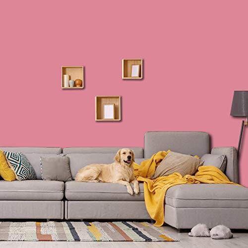 Prestige Interior Paint and Primer in One, Vinyl Pink, Eggshell, 1