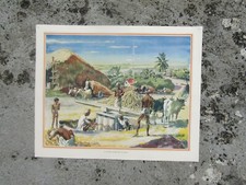 Antique School educational Lithograph Print - A village sugar mill in India
