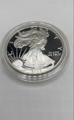 #ad 999 Silver 1 Oz 2005 American Dollar Coin 31.3g $100.00