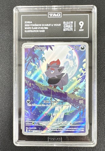 Zorua graded TAG 9 for sale on eBay