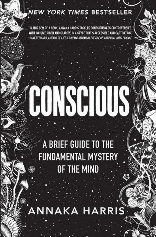 Thumbnail - Conscious Annaka Harris