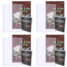 BCW 6x9 Topload Holders – Photo & Postcard Protection, 100pcs