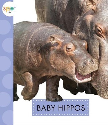 Baby Hippos by K.C. Kelley (English) Paperback Book