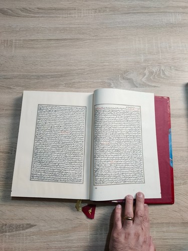 القانون في الطب ابن سينا Set 2 Reprint Manuskript Ibn Sina Kanon der Medizin - Bild 12 von 21
