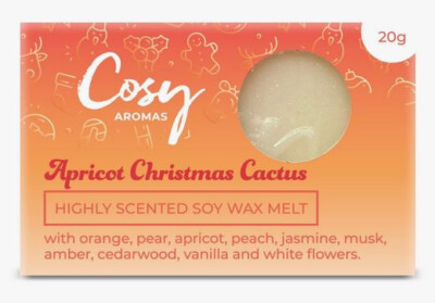 Apricot Christmas Cactus - Wax Melt - 20g - Duftwachs- Cosy Aromas