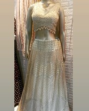 Lehnga choli / Bridal Wear/ Indian Traditional Wear