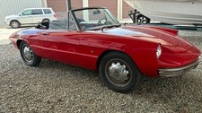 1967 Alfa Romeo Spider for Sale
