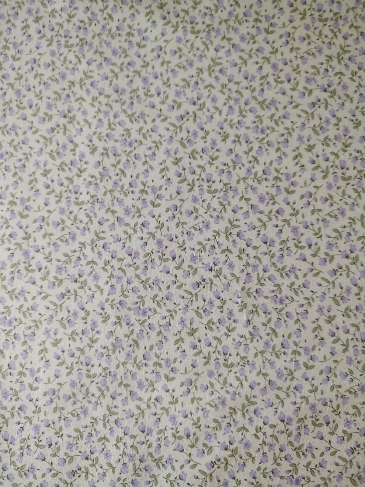 Picture 5 of 6