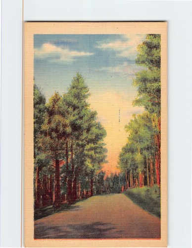 Postcard Road Trees Clouds Nature Scenery