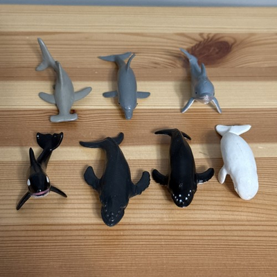 #ad Lot Of 7 Sea Animals Plastic Figures Dolphins Whales Shark Mini 2.5” Safari Ltd $7.99