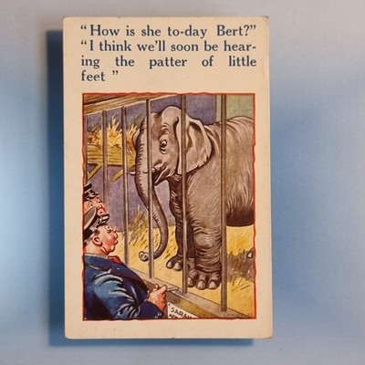 Comic Postkarte um 1930 schwangerer Elefant Zoowärter Muster kleine Füße Stoßzähne Rüssel