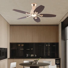 Ceiling Fan Chandelier, Ceiling Fan with Remote, Ceiling Fans with Lights