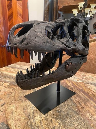 New Large Prehistoric Tyrannosaurus Skull DECOR Sculpture Uttermost 19948 - Picture 6 of 13