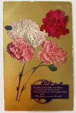 Antique Gold Poem Postcard Carnation Flowers 1909 One Cent Stamp