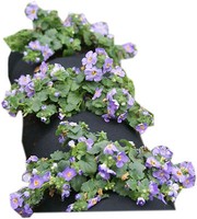 Pflanzschlauch FüR Blumenkasten Pflanztrog Pflanzkasten PflanzküBel Hochbeet