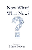 Mario Bolivar | Now What? What Now? | Taschenbuch | Englisch (2021)
