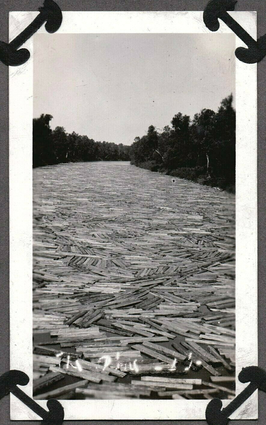 VINTAGE PHOTOGRAPH 1920'S LOGGING PAPERMILL LUMBER LAPEER MICHIGAN OLD