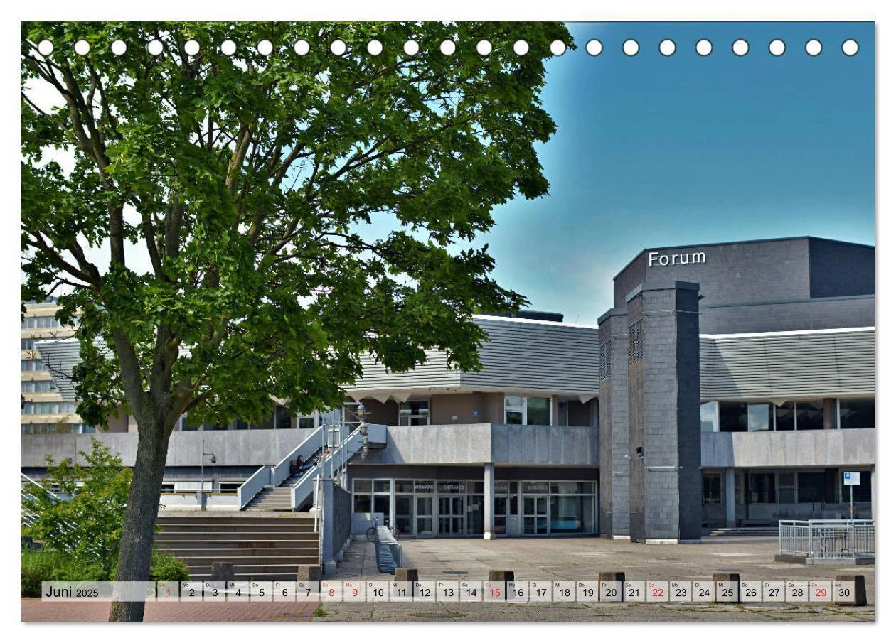 Bild 12 von 15