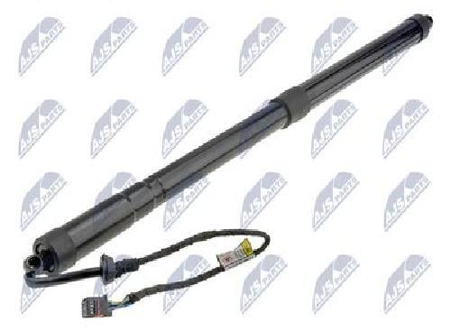 Original NTY Electric Motor Tailgate AE-FR-064 For Ford