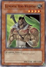 YuGiOh Elemental HERO Wildheart DP03-EN003 Common Englisch Played unl.