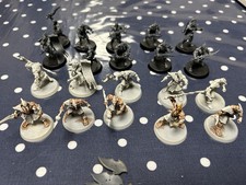 Warhammer AOS Disciples of Tzeentch Kairic Acolytes 20 Models