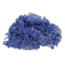 Preserved Reindeer Moss, 4 OZ Fake Moss for Crafts Purple