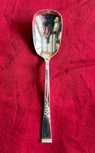 Classic Rose by Reed and Barton Sterling Silver Sugar Shell Spoon - No Monogram