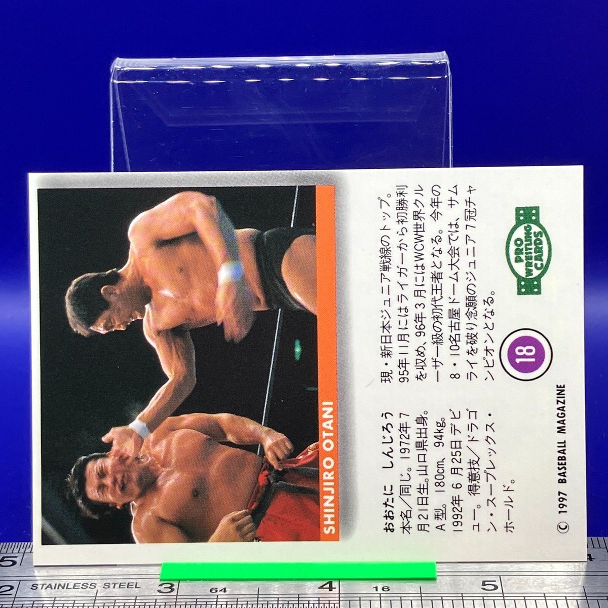 Shinjiro Otani BBM Pro Wrestling Card TCG Vintage Japanese #18 | eBay
