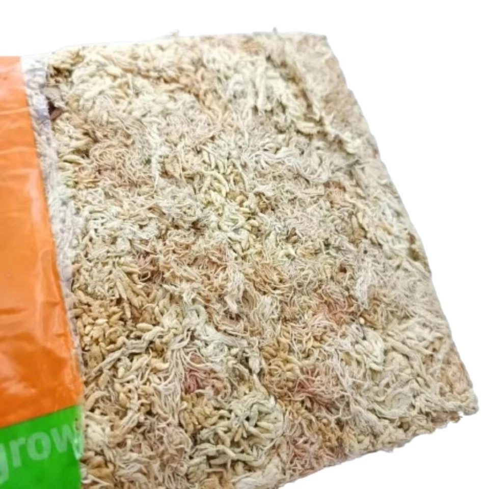 2 Spagmoss carton Orchid Plant Long Moss Sphagnum 12L. New Zealand Besgrow Brick - Image 2 of 4