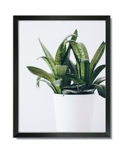 12x16 EcoLine Black Picture Frame with Clear Glass  Backing