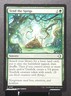 MTG 0197 TEND THE SPRIGS Sorcery Lorwyn Eclipsed common card⚔️NM/MT