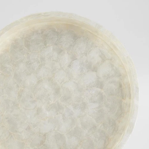 Cyan Design 11688 Triton Pearl Tray, Small - Picture 6 of 6